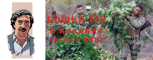 ешки Алзамай