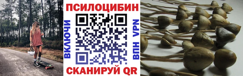 Галлюциногенные грибы прущие грибы  купить наркоту  Завитинск 