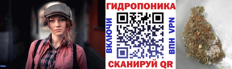 Марихуана планчик  Завитинск 